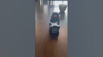 Vector Playing With His Cube! #robot #vector @beversfamilyadventures