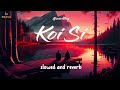 Koi Si  (slowed reverb)| Ikk Vi Hanju Aaya Na | Afsana Khan |  lofi songs