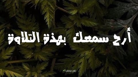 استمع إلي مزمار من مزامير آل داوود تلاوة جميلة| القارئ جابر القيطان- تلاوة ستجعلك تبكي من خشوعها🌿🕯️.