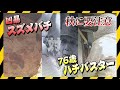 【ニュース企画】民家の軒先に凶暴なスズメバチ…殺虫剤を使わないバスターに密着