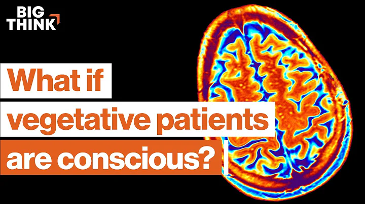 1 in 5 vegetative patients is conscious. This neuroscientist finds them. | Big Think x Freethink - DayDayNews
