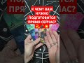 К ЧЕМУ ВАМ НУЖНО ПОДГОТОВИТСЯ ПРЯМО СЕЙЧАС?!🤔💣#tarot #таро #онлайнрасклад #картытаро #сейчас