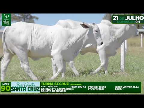 LOTE 90   GPO A8372   8454