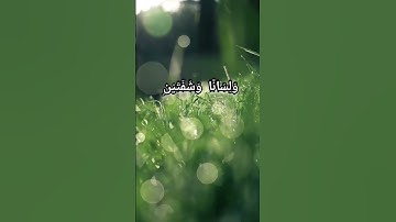 سورة البلد بصوت أحمد الخضر ♥️