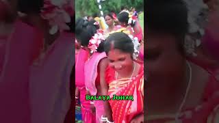 Balaya Johar //santali #reels #dance #sarisantali #traditionaldance #shortvideo