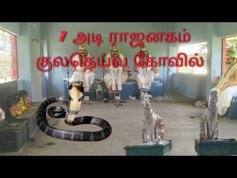 🤯7 அடி ராஜநாகம் குலதெய்வ கோவில் 🙏#god #trending #powerful God#vairalvideo 