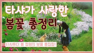 [타샤의 정원 봄꽃 총집합] 찬란하게 빛나는 타샤튜더 봄 정원의 보물 7분 총정리!