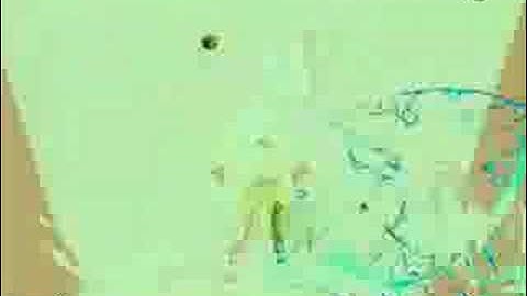 Mugen Goku@(Me) vs. The Nightmare SSJ3