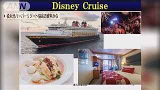 「カジノは夢がない」対抗案はディズニークルーズ(19/07/03)