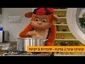 קופיקו עונה 2 פרק 4 - סוכריות צ'יקיטה