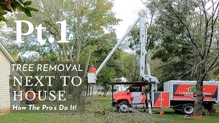 Tree Removal Near House: How the Professionals Safely Bring Down a Big Tree. Timber SourcePart 1