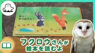 絵本読み聞かせ│フクロウさんが絵本を読むよ！7│赤ちゃんが泣き止む・喜ぶ！シナぷしゅ公式│東大赤ちゃんラボ監修！知育動画