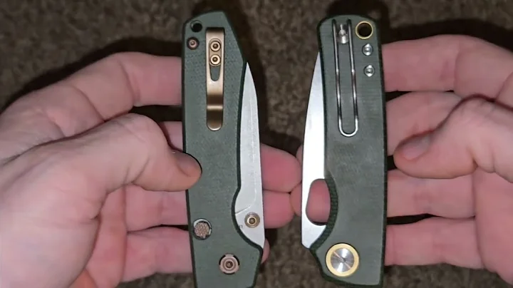 Vosteed Raccoon vs. Porcupine