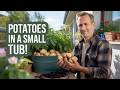 I Tried Growing Potatoes in a Small Tub—The Outcome Blew My Mind!