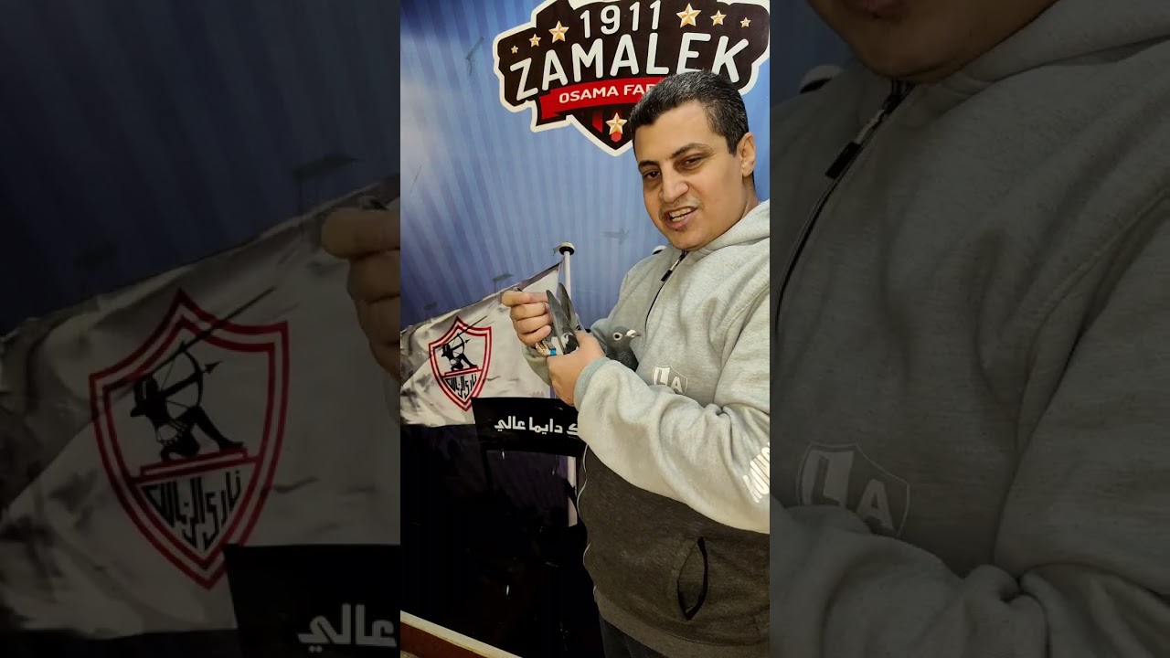 طير مزاد ثالث ايام رمضان كاتيل . بست كاتيل . اوليكبيك كاتيل