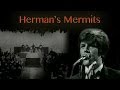 Herman's Hermits - What a Wonderful World