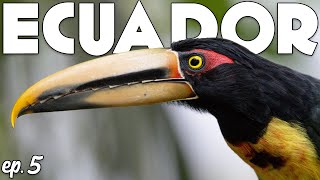 Where We Stayed in MINDO, ECUADOR - Tips for Bird Photographers