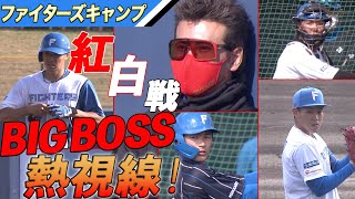 紅白戦にBIG BOSS熱視線! 注目を集めたのは誰だ!【2/6 ファイターズキャンプハイライト】（北海道日本ハムファイターズ）