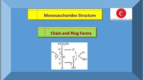 Lecture 08  |  Structure and Examples of Monosaccharides  | Iram Gul