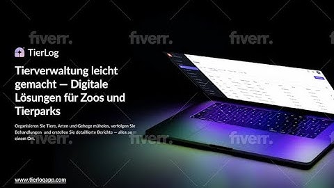 Professional Figma UI/UX & WordPress Website Development