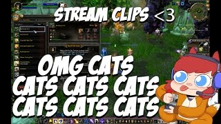 CATS. CATS EVERYWHERE! - World of Warcraft Stream Clip CATS. CATS EVERYWHERE! - World of Warcraft Stream Clip