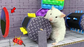 All New Maze Challenges: Hamster Escape the Awesome Maze by MR HAMSTER 1,639 views 2 months ago 30 minutes