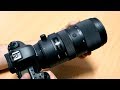 Sigma 70-200mm f/2.8 Sports - Review and Sample Photos