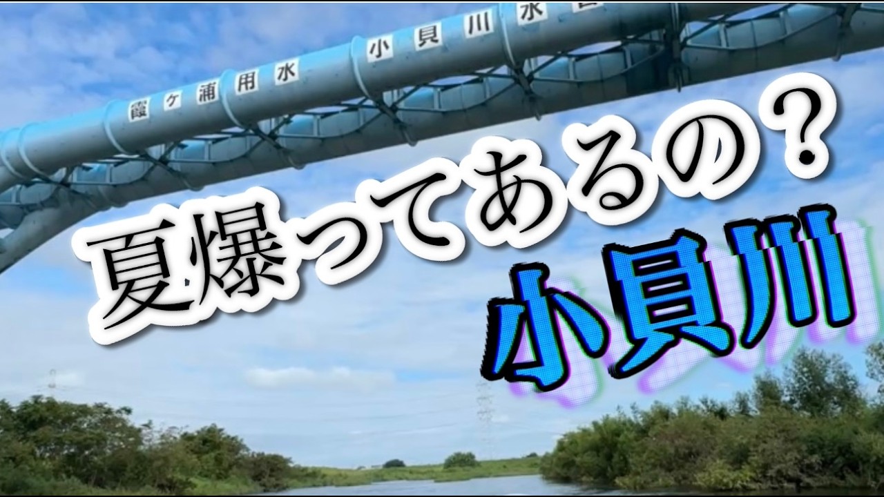 今年は釣れないんだって？春爆はあるけど夏は・・