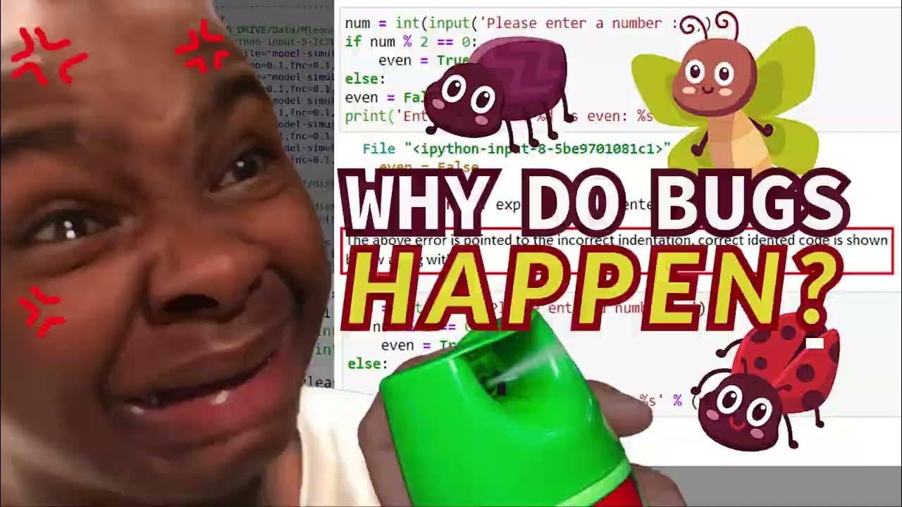 Why do bugs exist on the web? YouTube