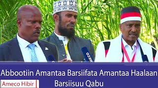 AMECO HIBIR: Abbootiin Amantaa Barsiifata Amantaa Haalaan Barsiisuu Qabu 03/11/2017