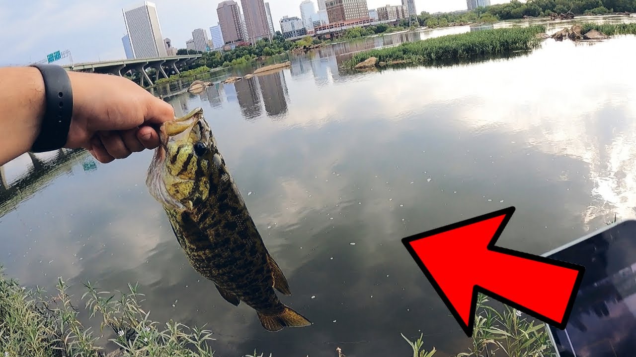 Catching SMALLMOUTH BASS in RICHMOND VIRGINIA DOWNTOWN! JAMES RIVER BASS FISHING! FRESHWATER FISHING