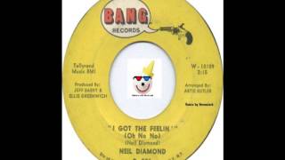Neil Diamond - &quot;I Got The Feelin&#39; Oh No, No&quot; (extended mix)