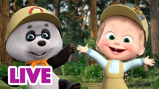 🔴Live! 🐻👱‍♀️ Маша И Медведь 🙌 Выходные В Лесу 🏞️ Мультик Для Детей