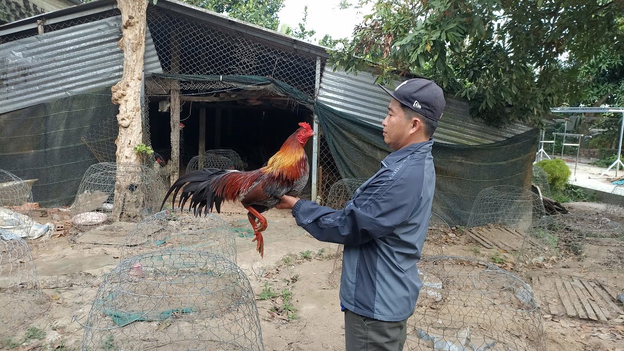 18/1 Top Giỏi Ae xem vui. 077.2132.997