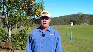 158 Hickeys Creek Road, Hickeys Creek  |  Rural Sales
