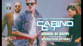 Carino Cat – Banda Di Baffi (Special TV Performance)