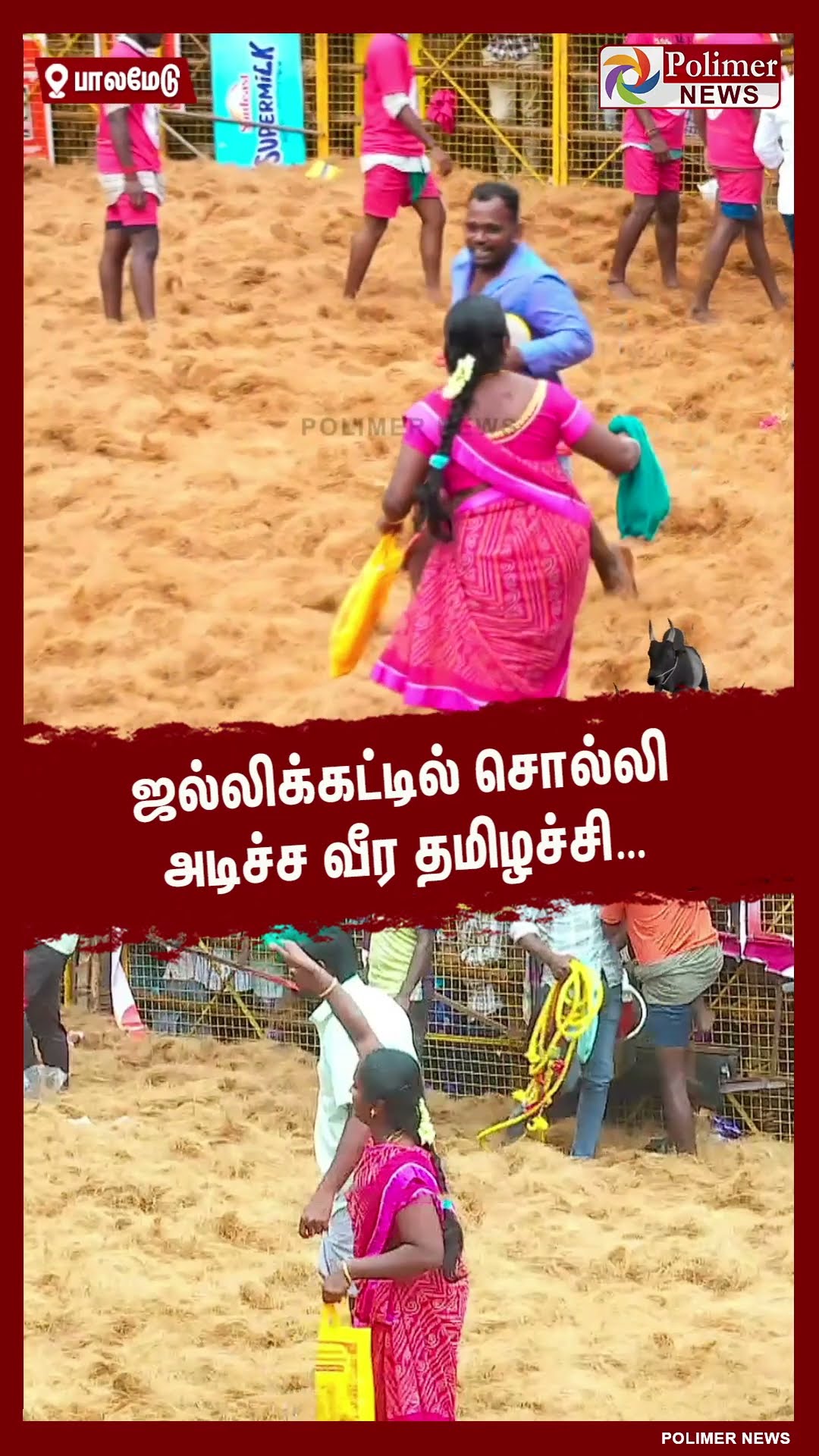 ஜல்லிக்கட்டில் சொல்லி அடிச்ச வீர தமிழச்சி…  #shorts | #palamedujallikattu