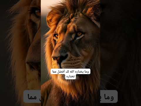 الحمد لله على كل حال الله عبارات اقتباسات خواطر كلام من ذهب نصائح ابلور تصميم فيديوهات ابلور