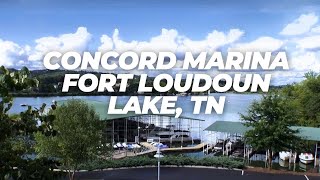 Concord Marina on Fort Loudoun Lake in Farragut Knoxville Tennessee