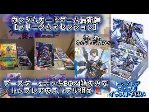 優しい心根 優勝者パック05 優しい心根 プロモ ガンダムカードゲーム
