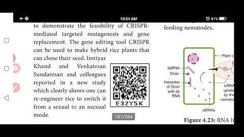 Xii bio botany chapter 4 principles of biotechnology
