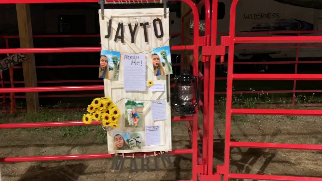 Northwestern Michigan Fair 2019 YouTube