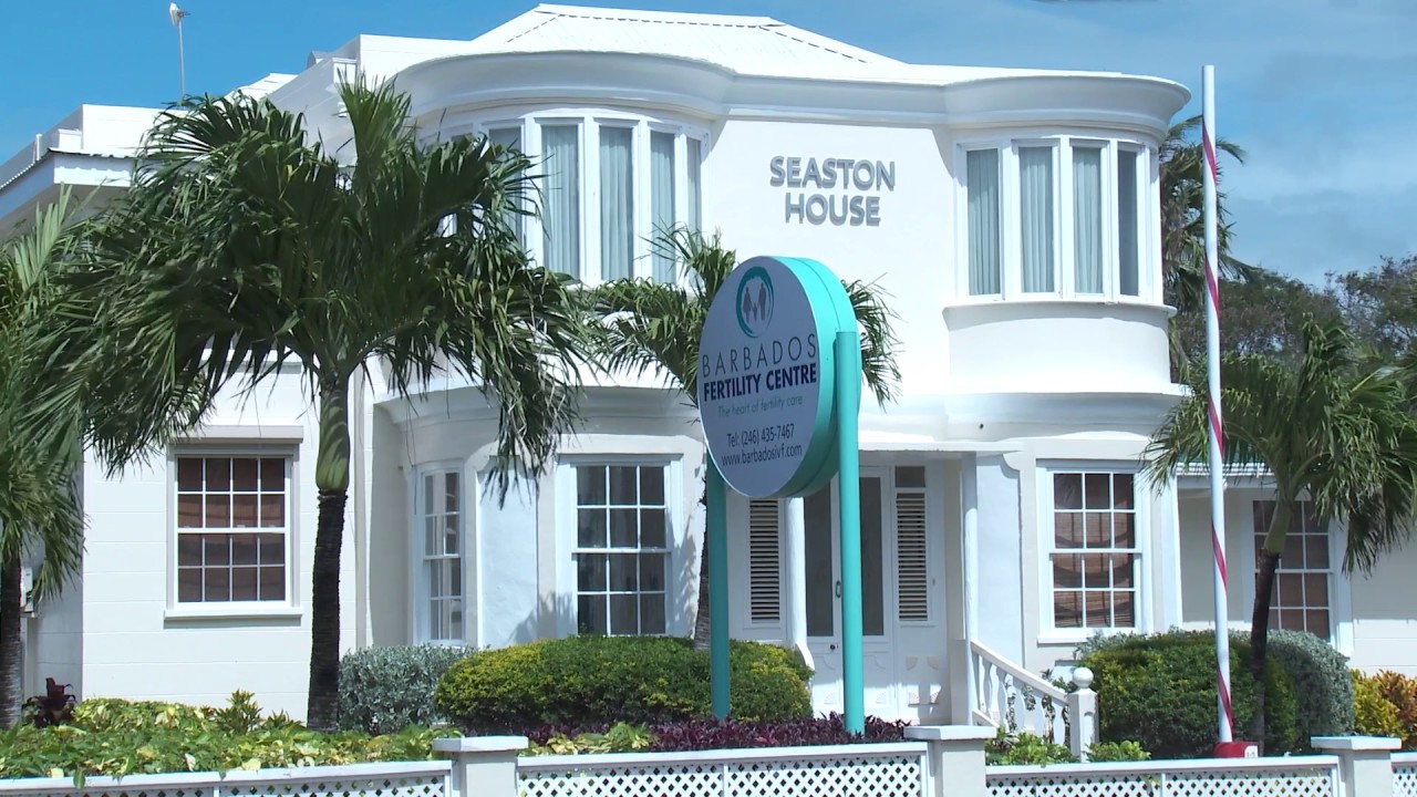 The Barbados IVF Experience -  Step 11 - Advanced IVF Laboratory