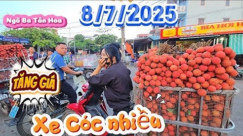 NGÃ BA TÂN HOA XE CÓC MUA VẢI THIỀU NHIỀU BÀ CON DỄ BÁN I NÚI ĐỒI LỤC NGẠN