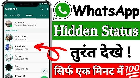 how to see whatsapp hide status |whatsapp par hide status kaise dekhe | see hidden whatsapp status 🔥
