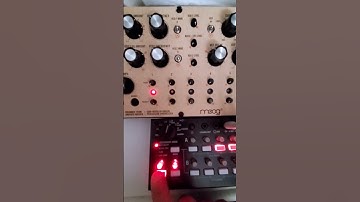 Synthesis Is Hard Moog DFAM and Korg SQ1