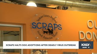 SCRAPS halts dog adoptions after deadly virus outbreak