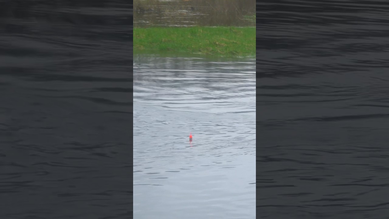 Tiny creek BOBBER DOWN 💥 