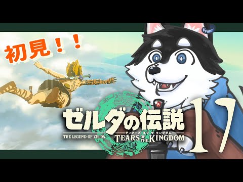【初見】＃17　リンクは毒草を取りに地下へと降りていきました【TotK】