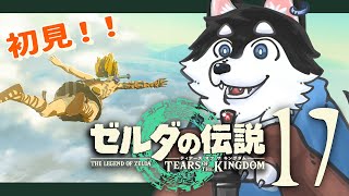 【初見】＃17　リンクは毒草を取りに地下へと降りていきました【TotK】